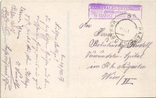 1917 Haag, general view + "Rekonvaleszentenheim (Militärpflege) in Markt Haag N.Ö."