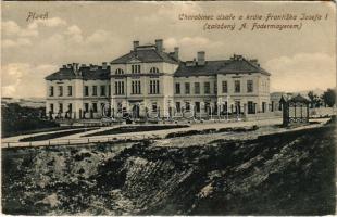 1917 Plzen, Pilsen; Chorobinec císare a krále Frantiska Josefa I (zalozeny A. Fodermayerem) / hospital (small tear)