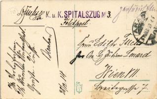 1914 Arad, Kossuth park / park + "K.u.K. Spitalszug No. 3." (r)