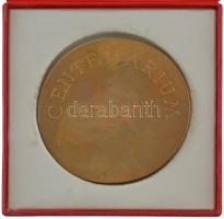 Kalmár Márton (1946-) 1985. "Szegedi Közlekedési Vállalat - Centenárium 1885-1985" egyolda...