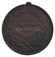 1917. "Károly Bronz Vitézségi Érem" bronz kitüntetés mellszalag nélkül. Szign.: Kautsch T:...