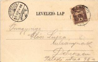 1901 Rozsnyó, Roznava; Rákóczy tér, Falvi Jenő üzlete és saját kiadása / square, shop (EK)