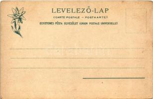 Tátra, Magas Tátra, Vysoké Tatry; Részlet a Tengerszem csúcsról 2503 méter magasan a Hunfalvy-hágón ...