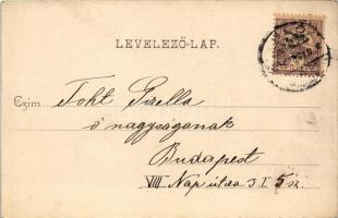 1901 Igló, Zipser Neudorf, Spisská Nová Ves; színház és vigadó. Matz Gusztáv 1900. / theatre and con...