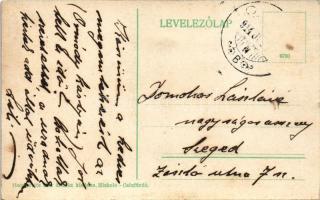 1914 Csíz, Csízfürdő, Kúpele Cíz; Sétány pihenővel. Herskovits Mór kiadása / promenade with rest pla...