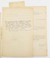 1913 Barlangligeti villatulajdonosok Szepesbéla város tanácsához intézett előterjesztése magyar és n...