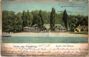 1905 Pozsony, Pressburg, Bratislava; Aupark Palugyay Café / Palugyay Ligeti Kávéház. Schneider & Lux (Rb)