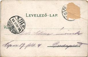 1905 Pozsony, Pressburg, Bratislava; Aupark Palugyay Café / Palugyay Ligeti Kávéház. Schneider &...