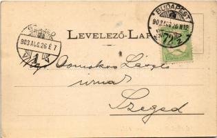 1903 Iglófüred, Spisská Nová Ves Kupele, Novovesské Kúpele; Millenium szálló. Wlaszlovits Gusztáv 12...