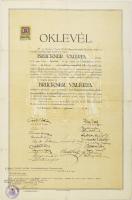 1924 Rajztanári oklevél Csók István, Glatz Oszkár, Vaszary János, Rudnay Gyula és mások aláírásával