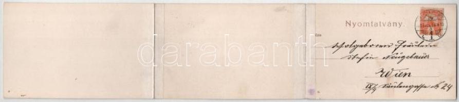 1906 Budapest, Citadella, királyi vár, építkezés. 3-részes kinyitható panorámalap / 3-tiled folding ...