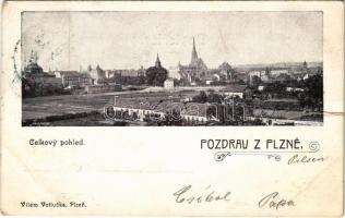 1904 Pilsen, Plzen; celkovy pohled / general view (b)