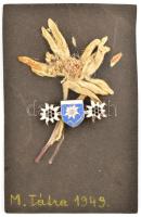 1949 Havasi gyopár a Magas-Tátrából, szárítva, lapra ragasztva, zománcozott fém kitűző jelvénnyel / Edelweiss from the High Tatras (Vysoké Tatry), with enameled badge