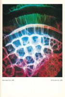 Csáji Attila kiállítási katalógus. Műcsarnok, 1988-89, Festmények, hologramok, fényművészet, lézer
