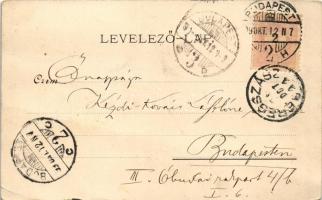 1899 (Vorläufer) Beregszász, Beregovo, Berehove; folyópart. Farkas J. tulajdona / riverside (fa)