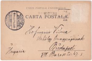 1900 Salutari din Romania, Tigani maturari / old gypsy couple, folklore. David Steiner 5984. (Rb)