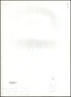 cca 1983 Menesdorfer Lajos (1941-2005) budapesti fotóművész hagyatékából, pecséttel jelzett, felirat...