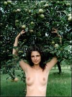 cca 1989 Menesdorfer Lajos (1941-2005) budapesti fotóművész hagyatékából, feliratozott, vintage fotóművészeti alkotás (Zöld almák), 40x30 cm
