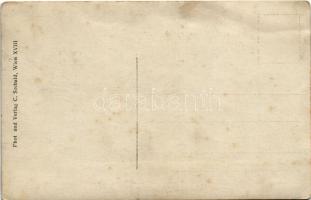 Paul Berkes / WWI Austro-Hungarian K.u.K. military, funeral of a pilot with aircraft. Phot. und Verl...