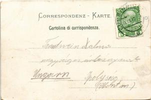 1910 Mali Losinj, Lussinpiccolo; Riva Francesco Ferdinando / shore, hotel and restaurant (kis szakad...