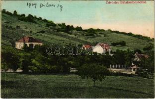 1909 Fonyód, Balatonfonyód; nyaralók, szőlőhegy. Sipos Flóra kiadása (EK)