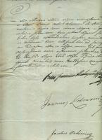 1811 Helytartótanácsi hivatalos levél  báró Mednyánszky János császári királyi kamarás, valóságos belső titkos tanácsos és Petrovics Jakab aláírásával