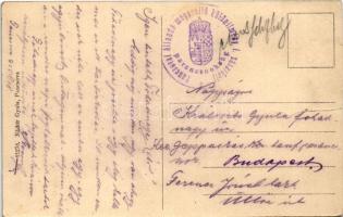 Pancsova, Pancevo; Hajóállomás, "ARAD" gőzüzemű oldalkerekes hajó. Nádor Gyula kiadása / S...