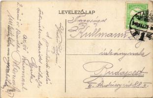 1914 Szabadka, Subotica; Kossuth Lajos utca. Víg Zsigmond Sándor kiadása / street (fa)