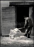 cca 1960 Medgyesi László (?-?) kecskeméti fotóművész hagyatékából feliratozott vintage fotóművészeti alkotás (Mészraktárnál), ezüst zselatinos fotópapíron, kanadai kiállítás pecsétjével, 40x30 cm