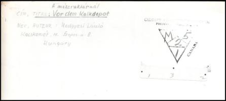 cca 1960 Medgyesi László (?-?) kecskeméti fotóművész hagyatékából feliratozott vintage fotóművészeti...