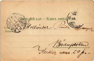 1900 Varasd, Warasdin, Varazdin; Trg Franje Josipa. Verlag v. C. Trampus / Ferenc József tér és piac...