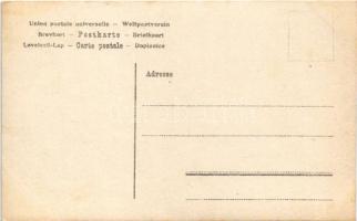 Kismarton, Eisenstadt; Eszterháza kastélya / Schloss / castle. photo