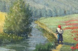 Szinyei jelzéssel: Lány pipacsmezőben. Olaj, vászon. Javított. Dekoratív, sérült fakeretben, 55×69 c...