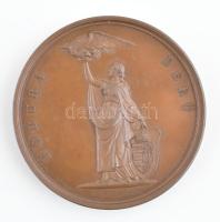 Josef Daniel Boehm (1794-1865) 1855. "Borúra Derű / A Magyar Tudományos Akadémia Teleki jutalmul Somló Sándronak 1885" gravírozott Br emlékérem (45mm) T:2, Gohl 164.