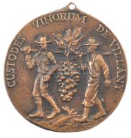 DN Custodes Vinorum de Villány egyoldalas, öntött bronz plakett, füllel. Szign.: TF (100mm) T:AU