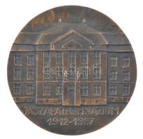 1987. Jászapáti Gimnázium 1912-1987 egyoldalas, öntött bronz plakett. Szign.: M (102mm) T:AU