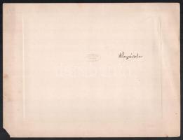 1929 Az egri magyar királyi állami Dobó István Reáliskola tanári kara, Rónai Hajnal egri fényképész ...