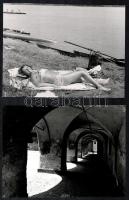 cca 1945 és cca 1980 között készült fényképek sokféle témáról (Eger, elefánt, juhász, évszakok, műem...