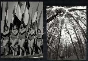 cca 1945 és cca 1980 között készült fényképek sokféle témáról (Eger, elefánt, juhász, évszakok, műem...