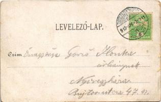 1913 Sztrecsnó, Sztrecsény, Strecno (Ruttka, Vrútky); Üdvözlet Turócból, szoros. Moskóczi Ferencné t...