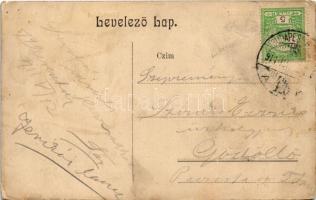 1911 Budapest XVII. Rákoskeresztúr, Községháza (EM)