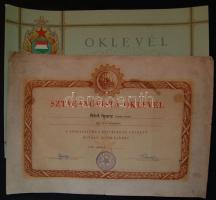 1956-1972 2db Sztahanovista és Kiváló dolgozó oklevél