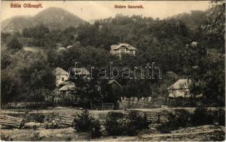 1911 Baile Olanesti, Vedere generala / general view, spa (wet corner)