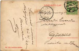 1910 Budapest XVI. Mátyásföld, Diósy (Dióssy) nyaraló. Stift testvérek kiadása (EK)