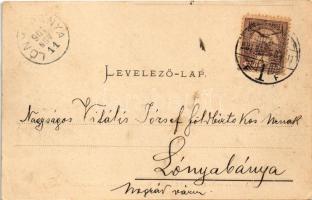 1901 Budapest I. Víziváros és Duna látképe, Országház. Ganz Antal 56. (EK)