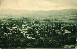 1921 Brád, látkép / general view (EK)