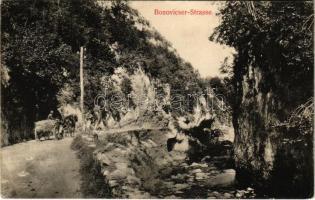 1911 Anina, Stájerlakanina, Stájerlak, Steierdorf; Bozovicsi út. Hollschütz kiadása / Bozovicser Strasse / Bozovici road (EK)