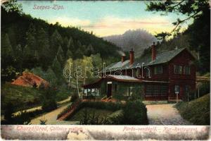 1910 Thurzófüred, Kupele Turzo (Gölnicbánya, Gelnica); fürdő vendéglő. Feitzinger Ede 1905. Aut. N. 733. / spa restaurant (EK)