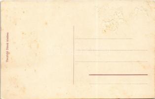 Fogaras, Fagaras; Régi Olt híd. Thierfeld Dávid kiadása / Podul vechiu / old bridge (Rb)