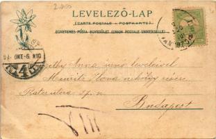 1901 Thurzófüred, Kupele Turzo (Gölnicbánya, Gelnica); fürdő étterem. Feitzinger Ede 1902/12. 548. /...